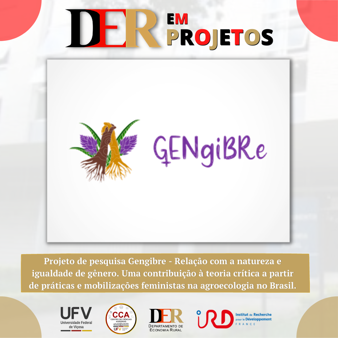 DER - PROJETOS (10)