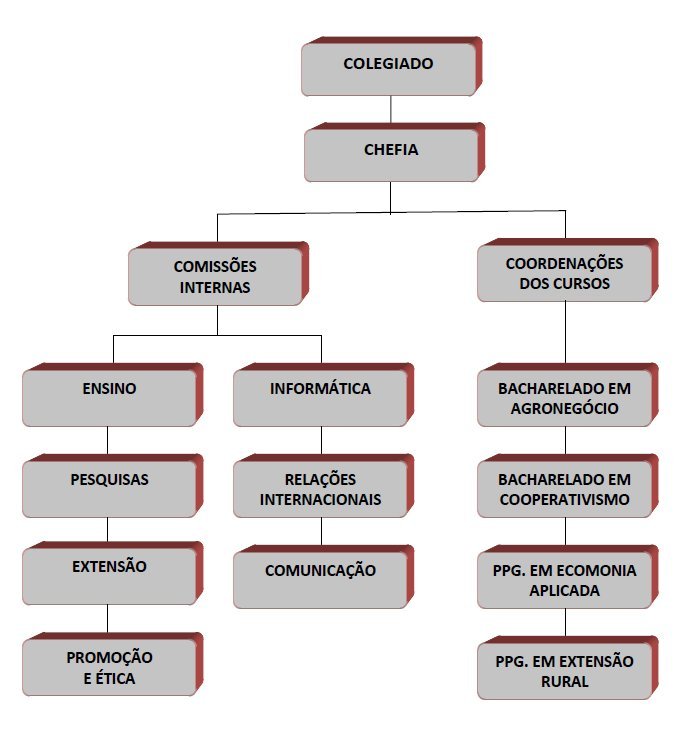 Organograma DER News1